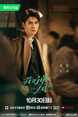 花都区网站优化报价